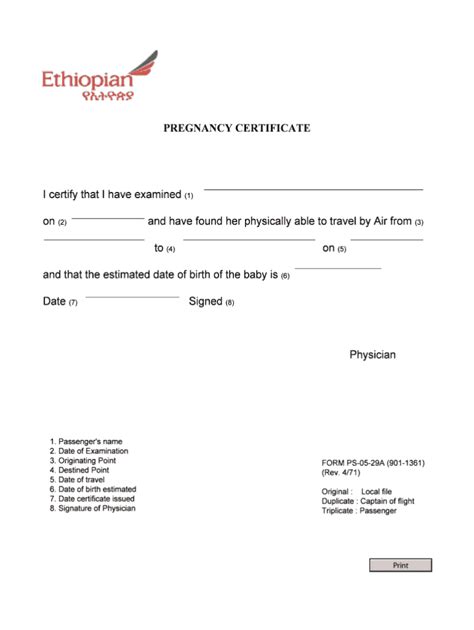 Fit To Fly Certificate Template Douglasbaseball Com