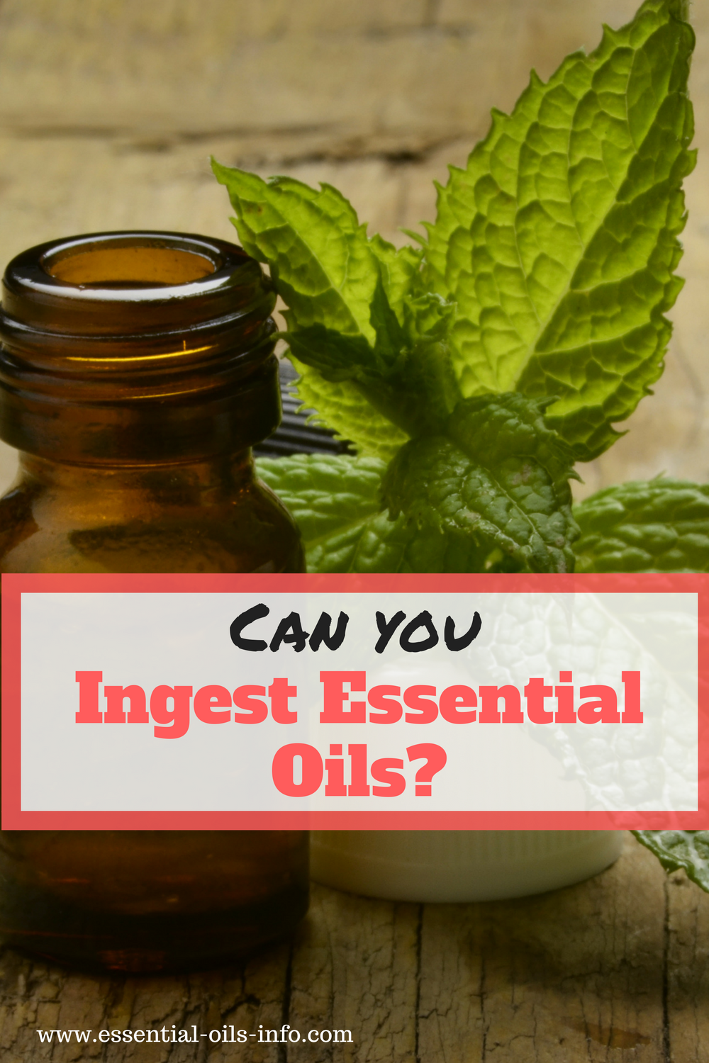 Five Essential Oils You Can Check Out