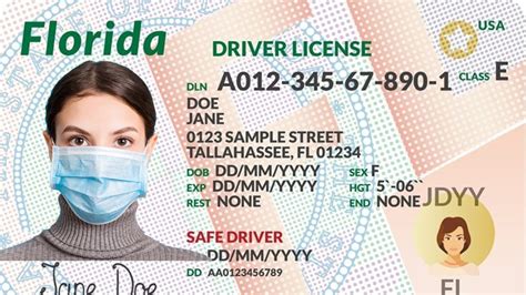 Florida Dmv System Down Today 2024 Agata Ariella