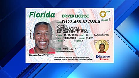 Florida Driver S License Lookup Naaapplication