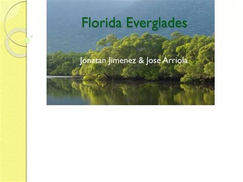 Florida Everglades Experience Ppt Download