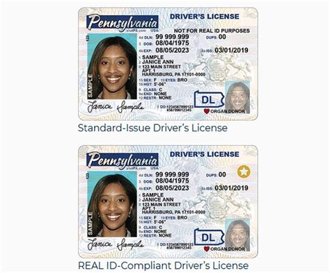 Flying Domestically After May 3 2023 You Ll Need A Real Id 2023