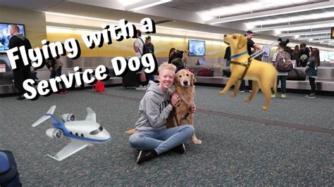 Flying With A Service Dog Guide Dog Edition Youtube