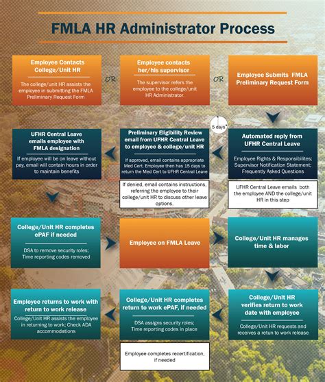 Fmla Flowchart Process