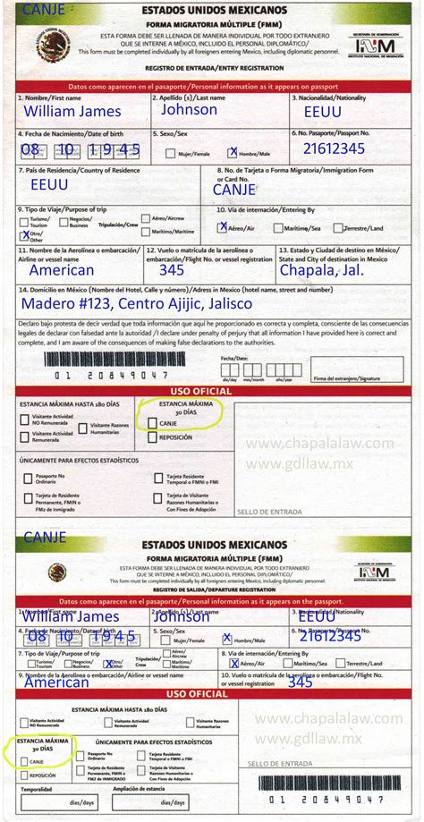 Fmm Sample Filled Out Forms Customs And Immigration Chapala Com