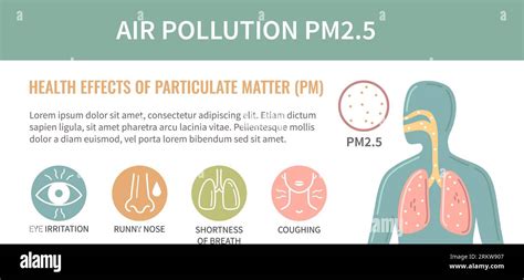 Fortis Healthcare On X Pollution Can Take Your Breath Away Tiny Particles Like Pm2 5 Pm10 Can Harm Your Lungs Fortis Offers Tips For Preventive Care So You Can Breathe Easy This