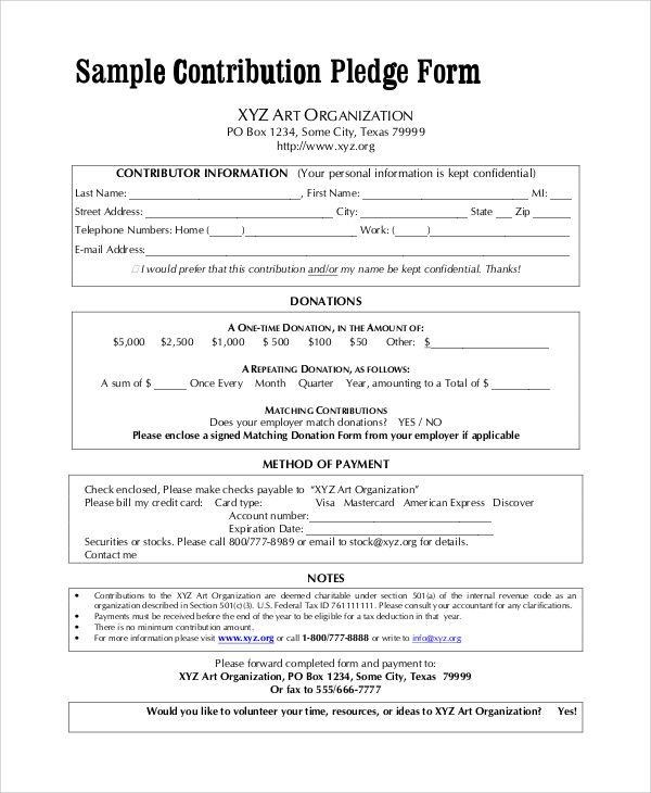 Free 8 Sample Pledge Forms In Pdf Ms Word