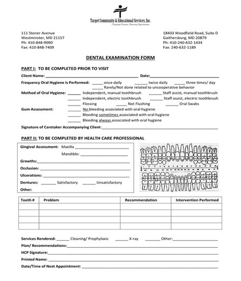 Free 9 Sample Dental Examination Forms In Pdf Word