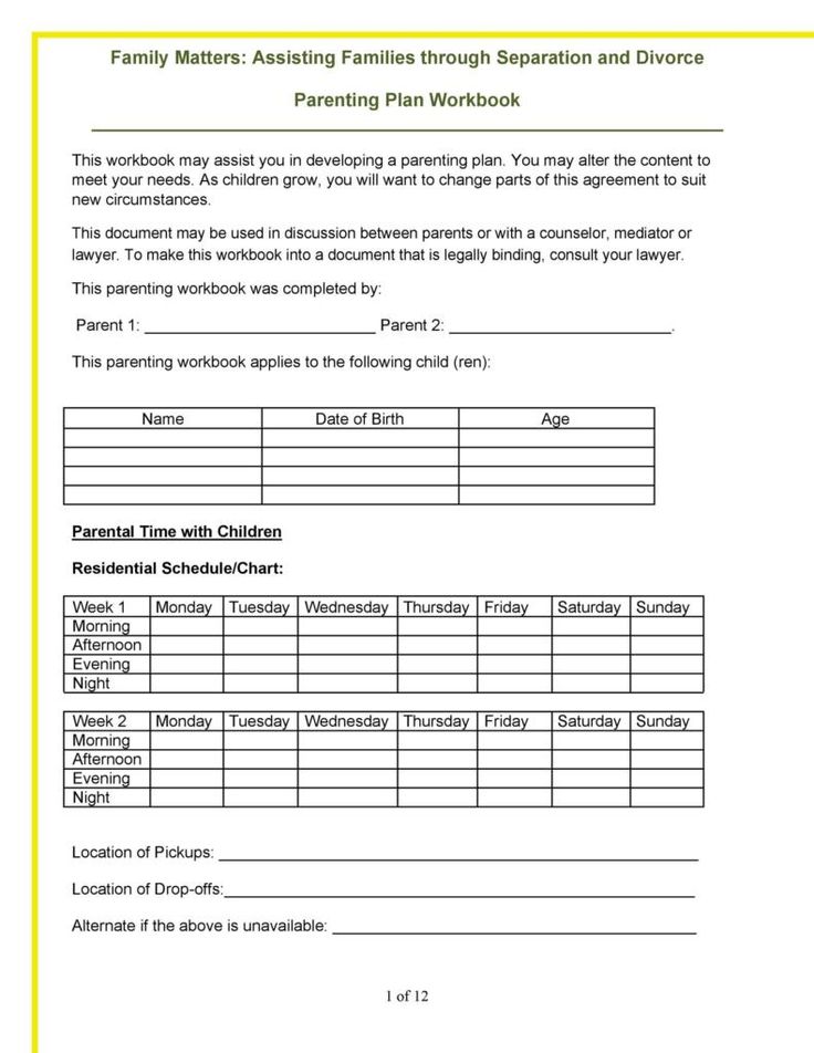 Free Florida Custody Parenting Plan Pdf Eforms