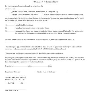 Ga Dmv Form Motor Vehicle Affidavit For Citizenship Verification Forms Docs 2023