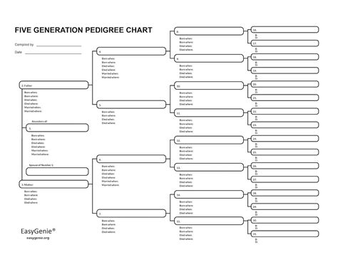 Genealogy Forms Bundle