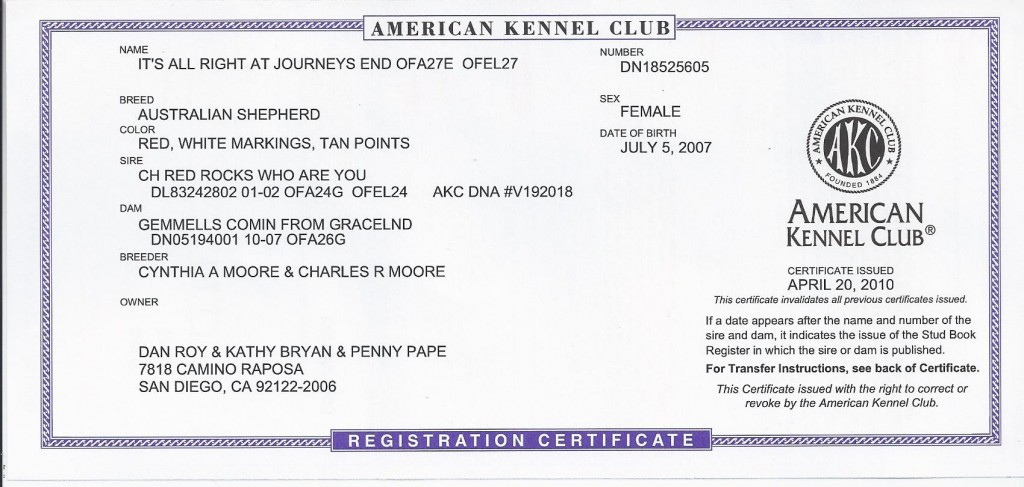 Get Akc Registration Papers Inspiring Tattoo Designs Expert Advice