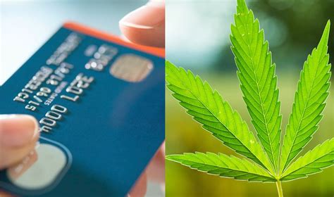 Getting A Medical Marijuana Card In Michigan Cloudmineinc