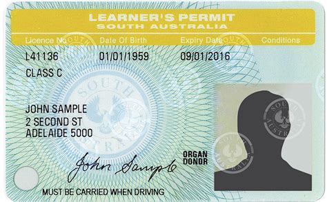 Getting Your Oregon Learner S Permit A Complete Guide