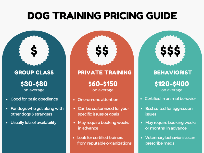 Goldendoodle Service Dog Guide To Suitability Training And Cost