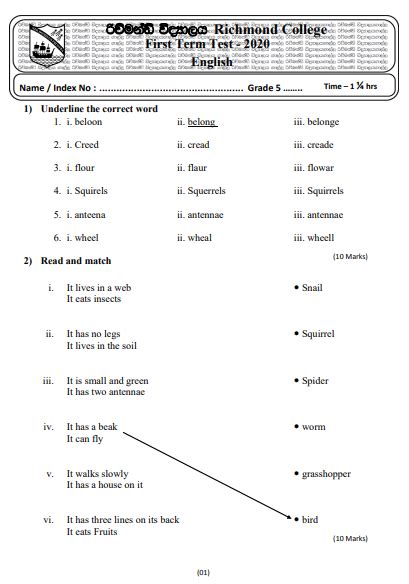 Grade 5 English Paper 2020 Past Papers Wiki