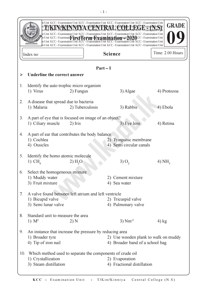 Grade 9 Health Papers