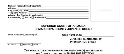 Guardianship Of Minors Arizona Fill Out Printable Pdf Forms Online