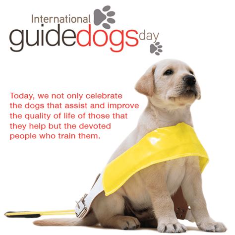 Guide Dog Dgp For Pets