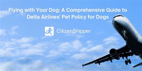 Guide To Delta Airlines Pet Policy Citizenshipper Blog