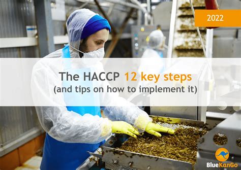 Haccp The 12 Key Steps Of A Haccp Guide