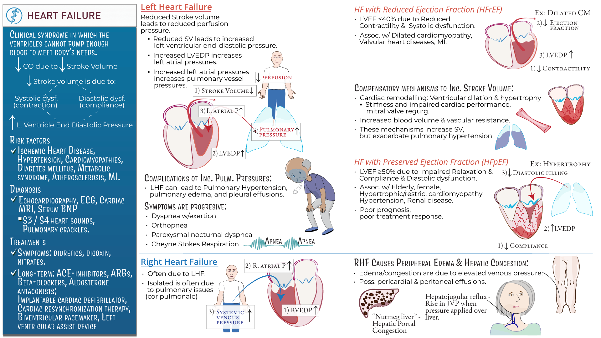 Heart Failure Openmrcp