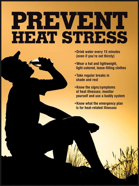 Heat Stress Safety Tips