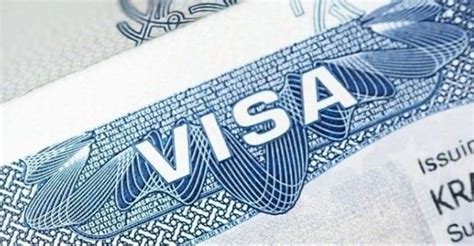 Hold Ups In Sa Work Visa Applications Set To Worsen Despite Policy