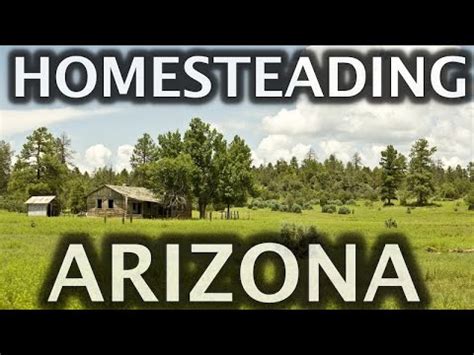 Homesteading In Arizona On Raw Land Youtube