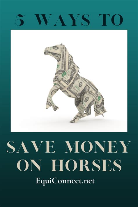 Horse Money Saving Tips Horses Saving Money Save