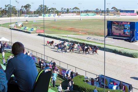 Horse Ownership Process Moved Online Harness Racing Victoria