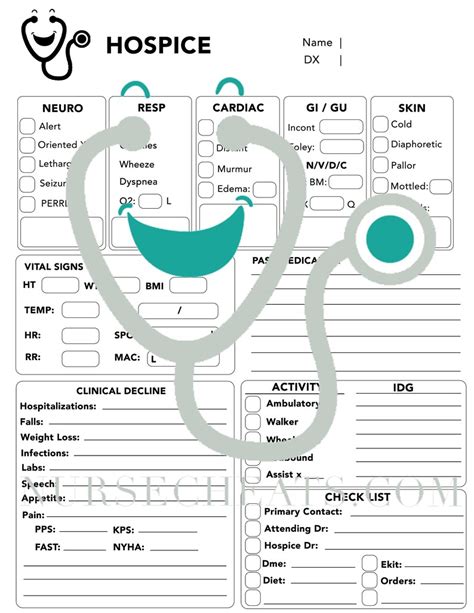 Hospice Assessment Form Black White Etsy