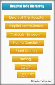 Hospital Jobs Hierarchy Hierarchical Structures And Charts