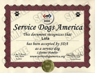 How Can I Get A Certificate For A Service Dog