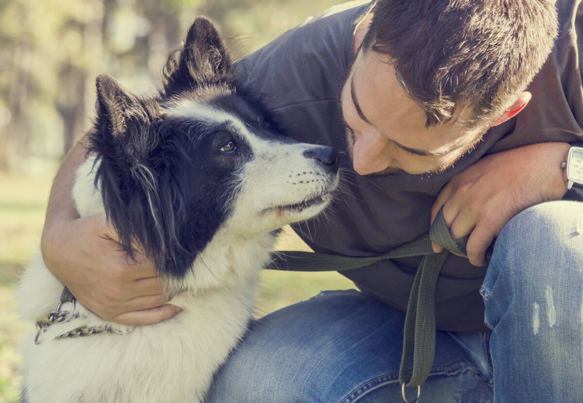 How Can I Get My Dog Certified As A Service Dog