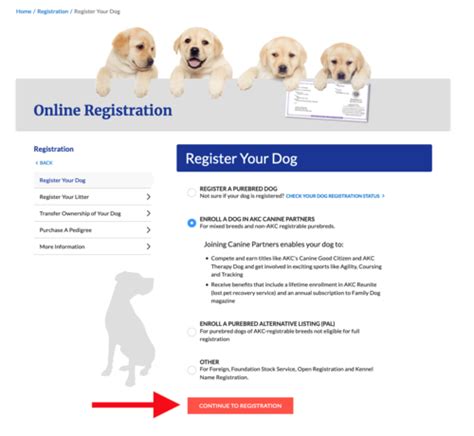 How Can You Get Akc Papers For Your Dog