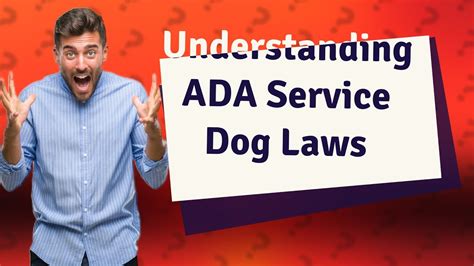 How Do Ada Service Dog Laws Work In The Usa Youtube