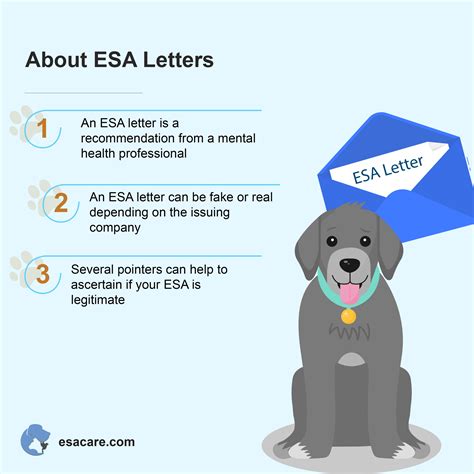 How Do I Get An Emotional Support Dog Letter