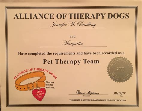 How Do You Certify A Dog As A Therapy Dog Dogwalls