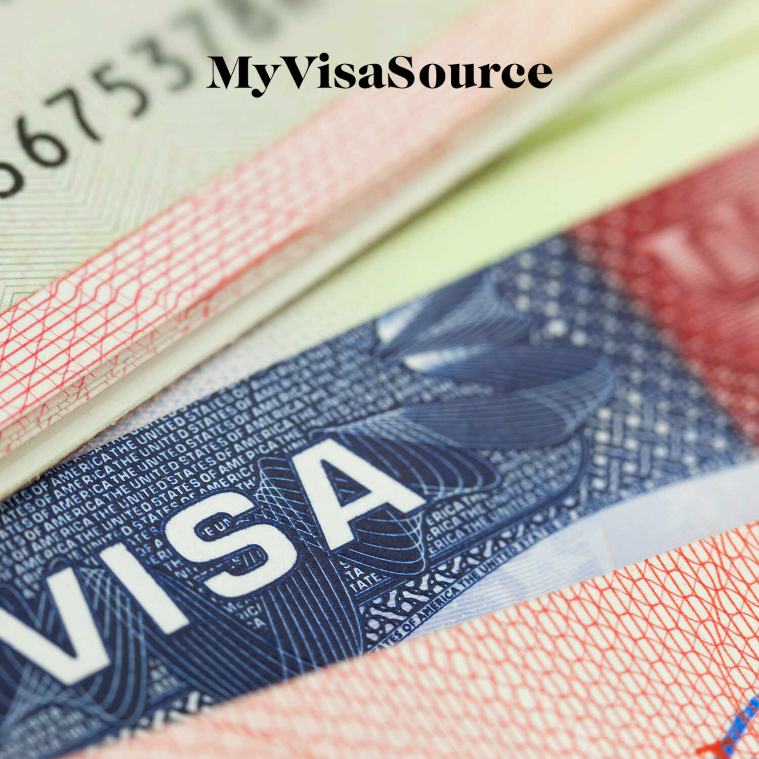 How Does Us Visa Sponsorship Work My Visa Source