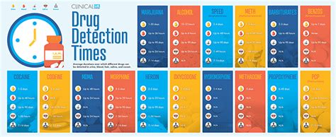 How Long Can Drugs Be Detected In The Body