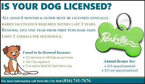 How Long Does It Take To Get Dog License