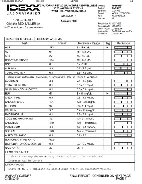 5 Tips Bloodwork Paperwork