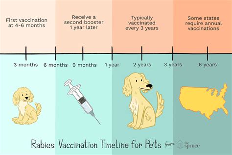 How Often Should You Give Rabies Shots To Dogs