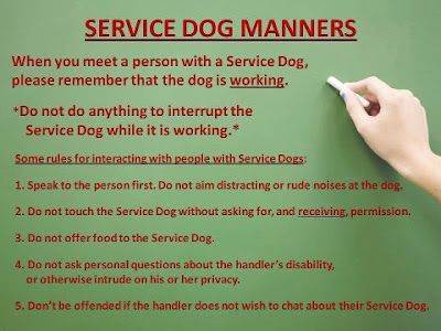 How Service Dogs Help The Disabled Ecad Service Dogs