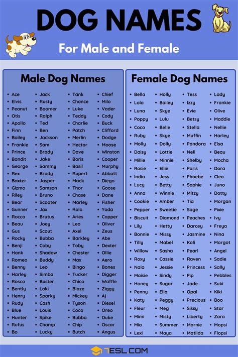 How To Change A Dog Amp 39 S Name Doglopedix