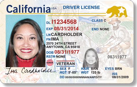 How To Check California Driver S License Status California Driving