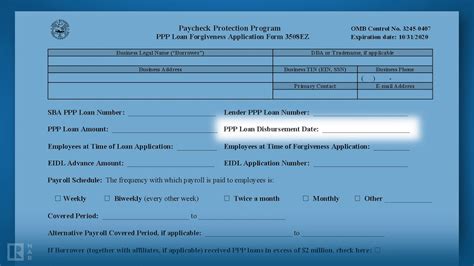 How To Complete The Ppp Loan Forgiveness Application Form 3508Ez Youtube