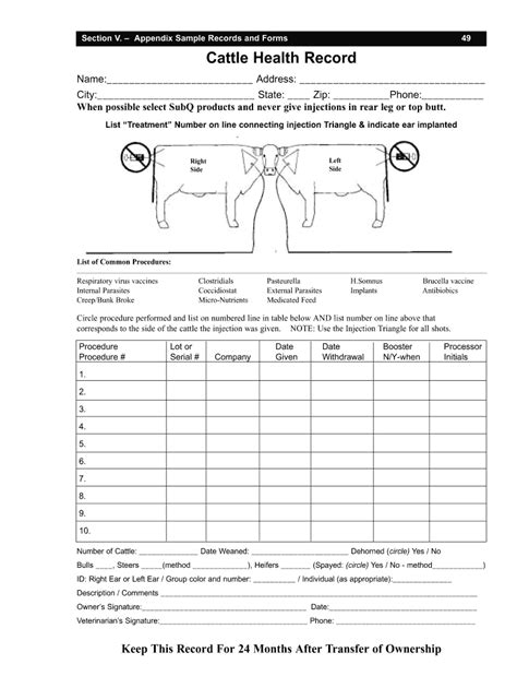 Deciphering Register Cattle Paperwork Made Easy