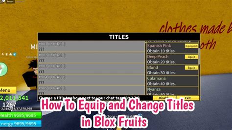 How To Equip Title In Blox Fruits Gameinstants